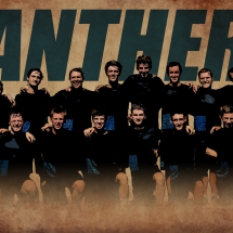 Disc Club Panthers retro wallpaper