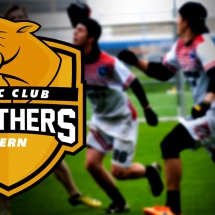 Panthers logo (test)